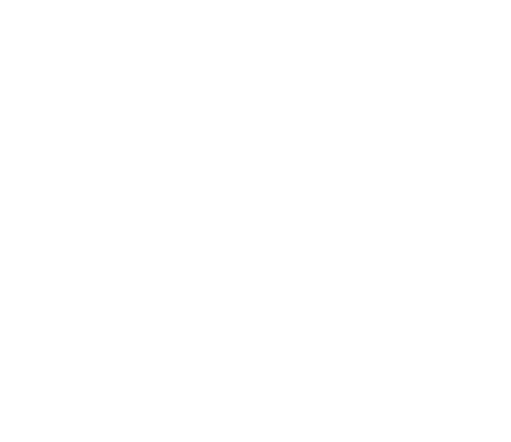Brasilbor 31 Anos